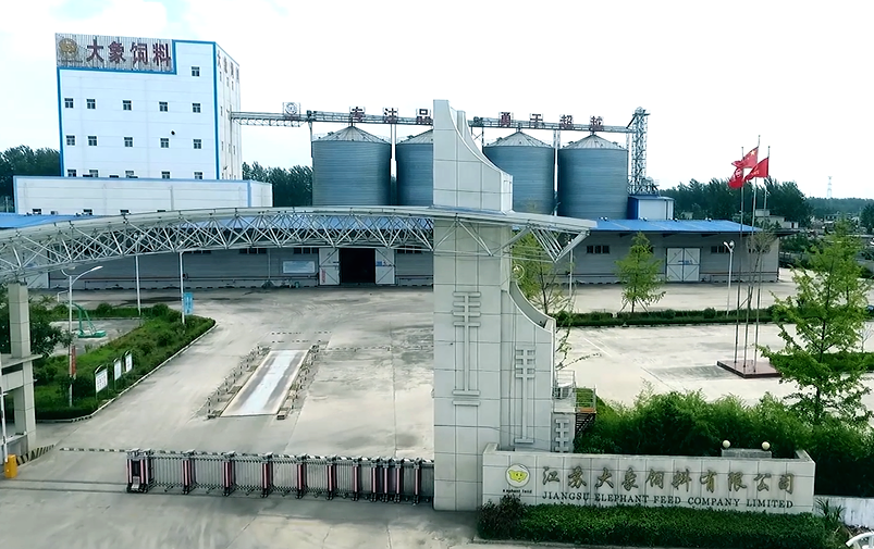 亿德体育app入口