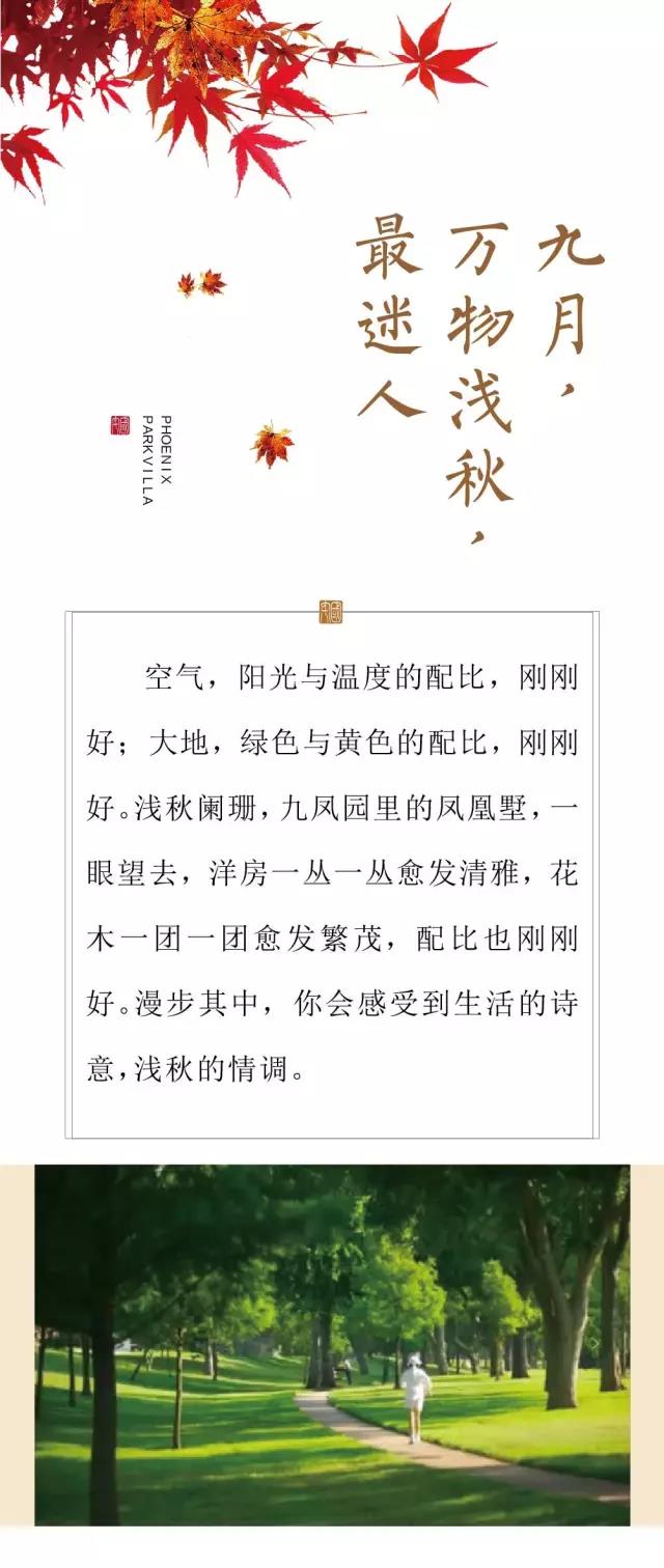 亿德体育app入口