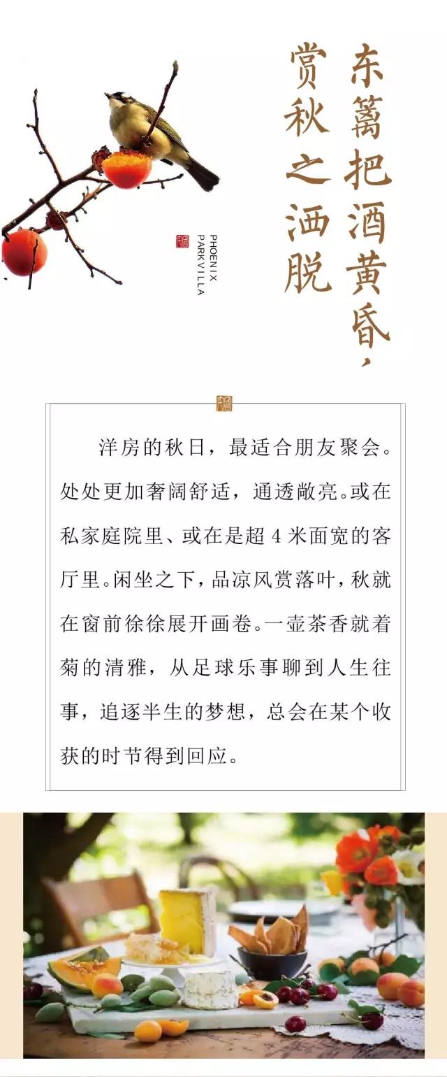 亿德体育app入口