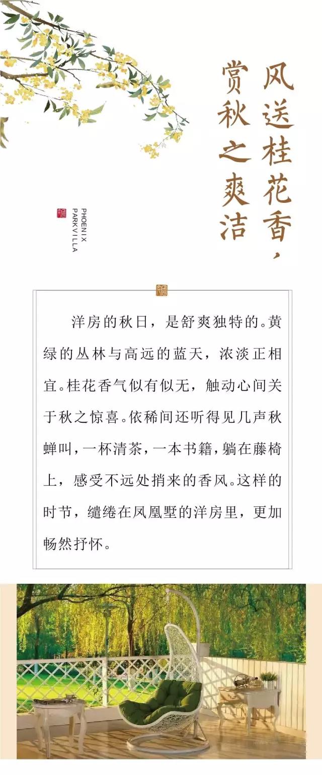 亿德体育app入口