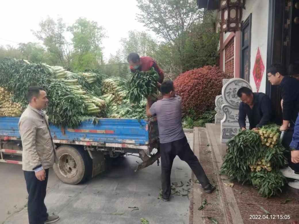 亿德体育app入口