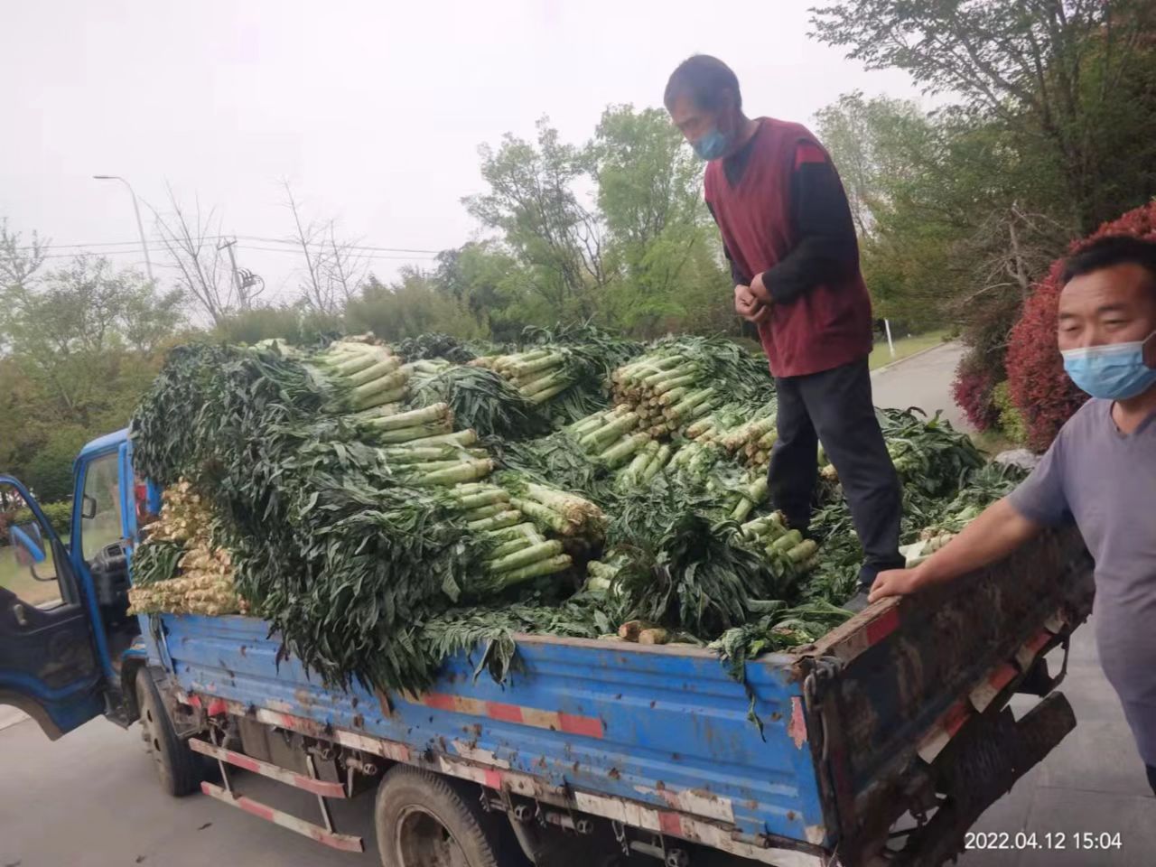 亿德体育app入口